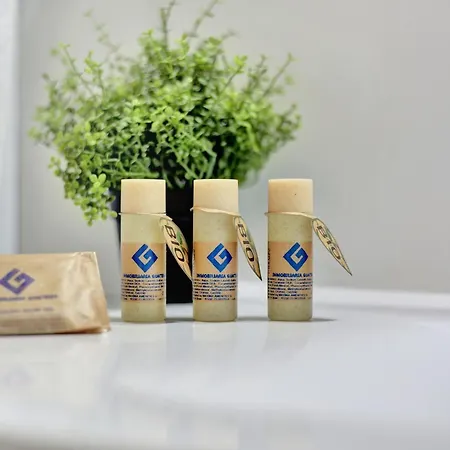 ヴィラ Casa Mavadel *